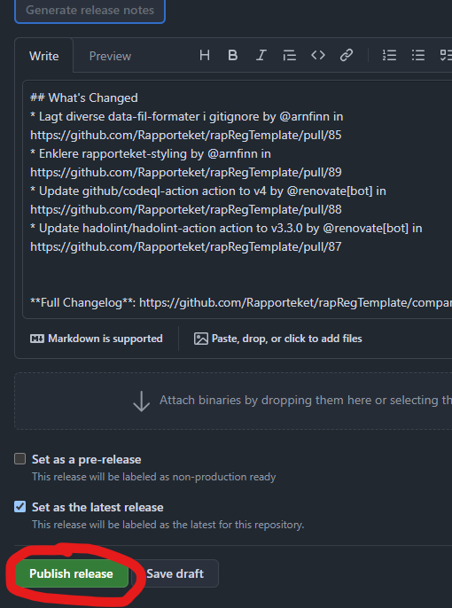Skjermbilde av github-nettside, publiser